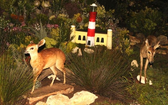 Gansbaai Cape Floral Kingdom Ekspo 3